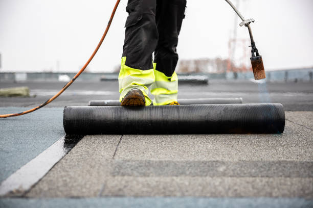 Best Roof Moss and Algae Removal  in New Hempstead, NY